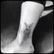 carousel chooser