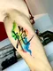carousel chooser