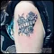 carousel chooser